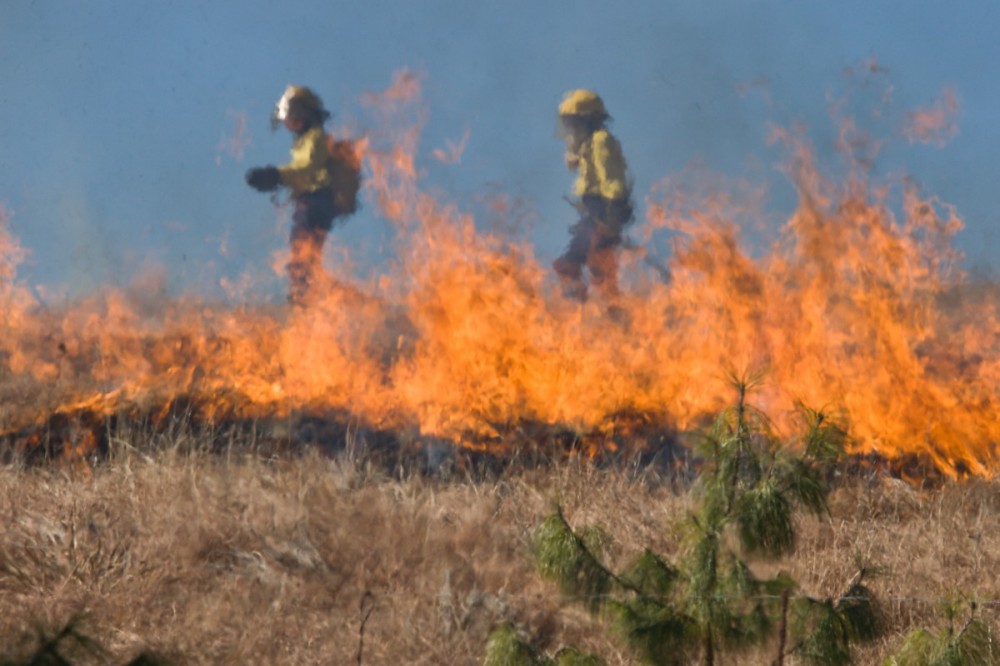 Un incendio boschivo